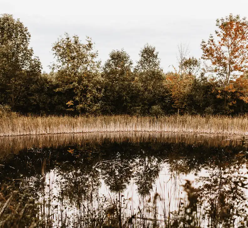 Back Forty Pond