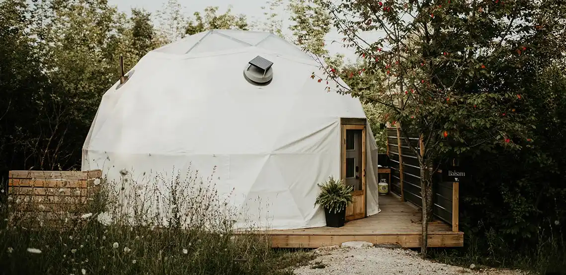 Forest Domes
