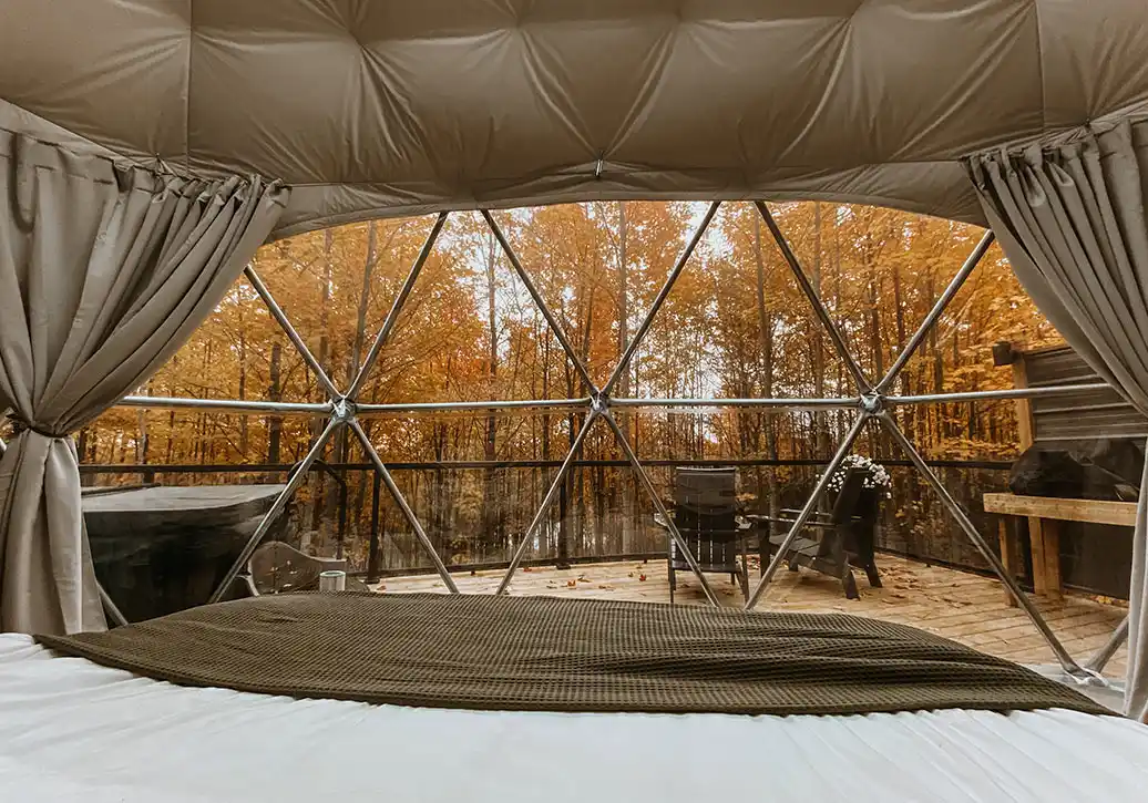 Forest Dome Fall View