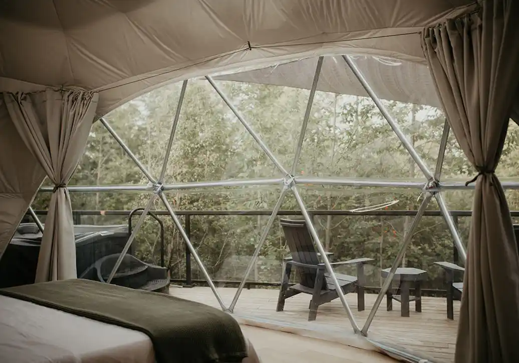 Forest Dome View