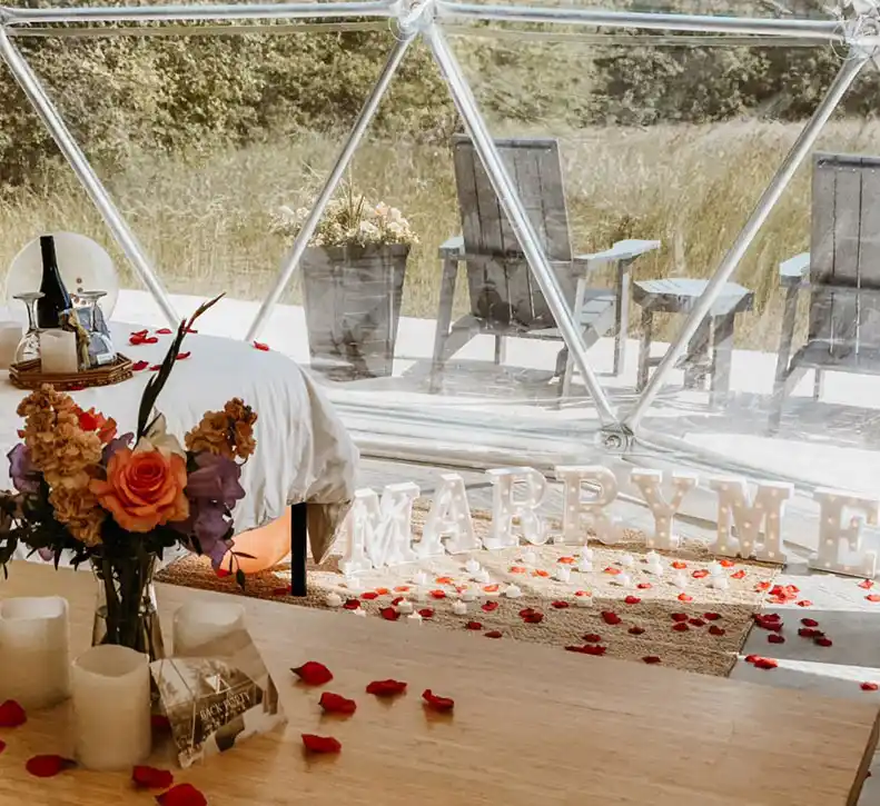 Proposal Setup-Meadow Dome