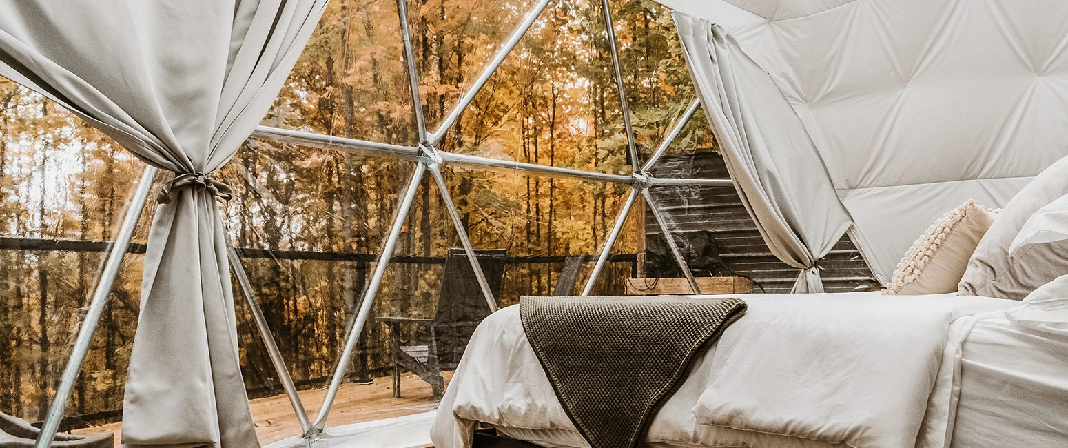 Fall Colours From Inside The Dome