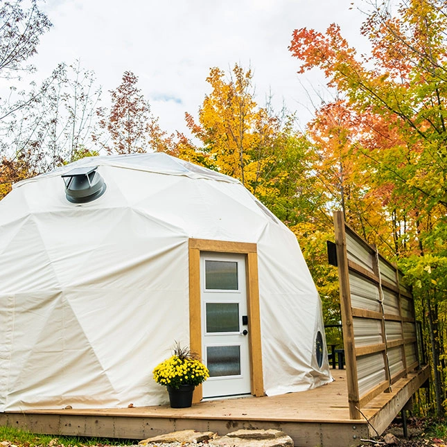 Forest Dome Surrounded By Fall Colours