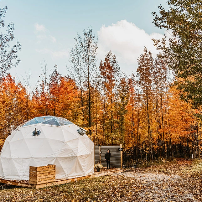 Full Colours of Fall at Back Forty Glamping