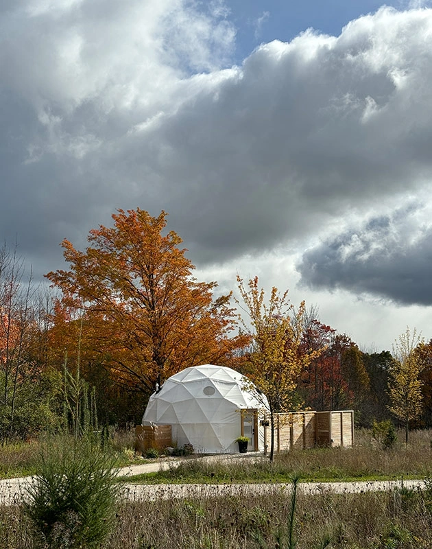 Meadow Dome Among The Fall Colours