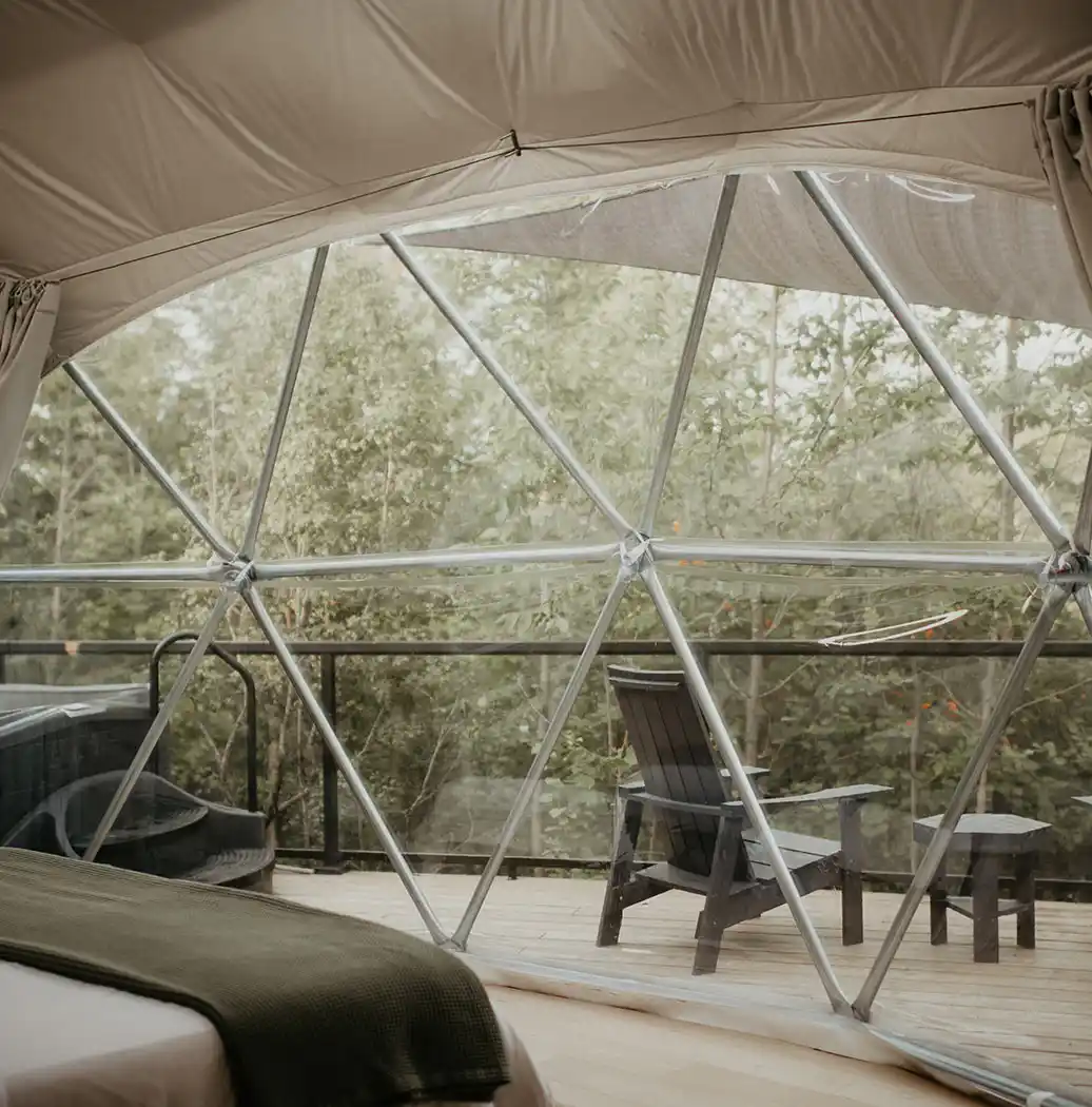 Forest Dome View