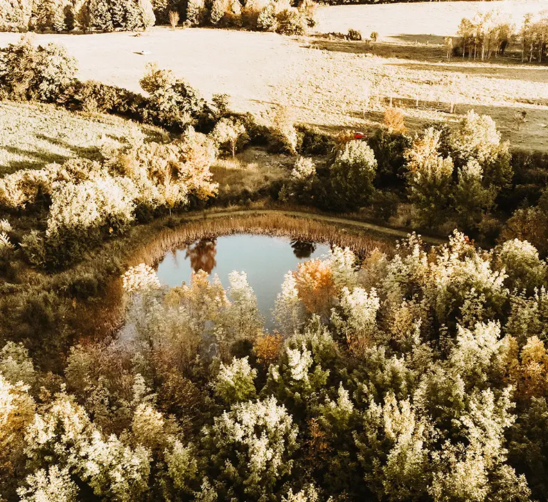Fall