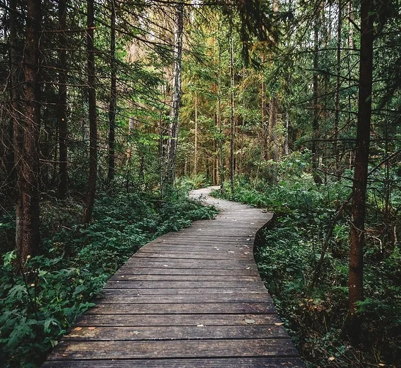 Hibou Conservation Area