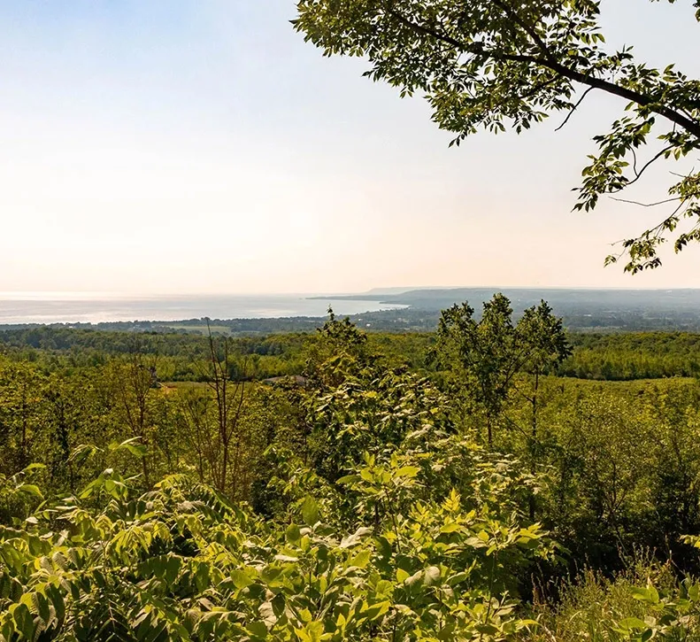Irish Mountain Scenic Lookout