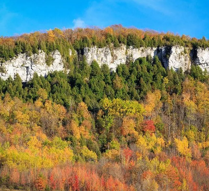 Old Baldy Conservation Area