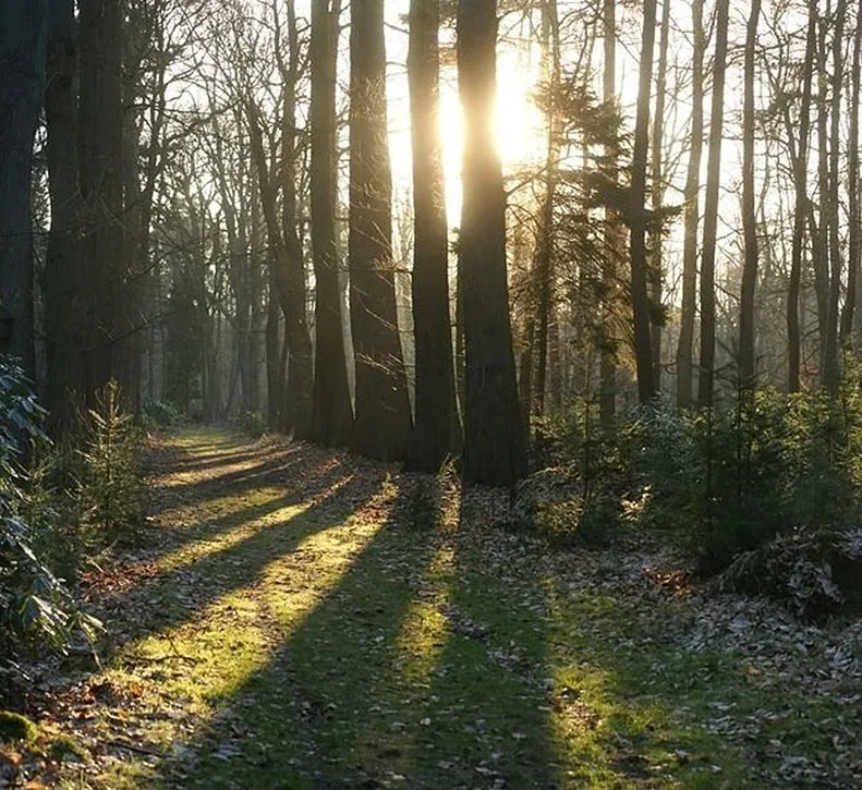 Singhampton Caves Trail