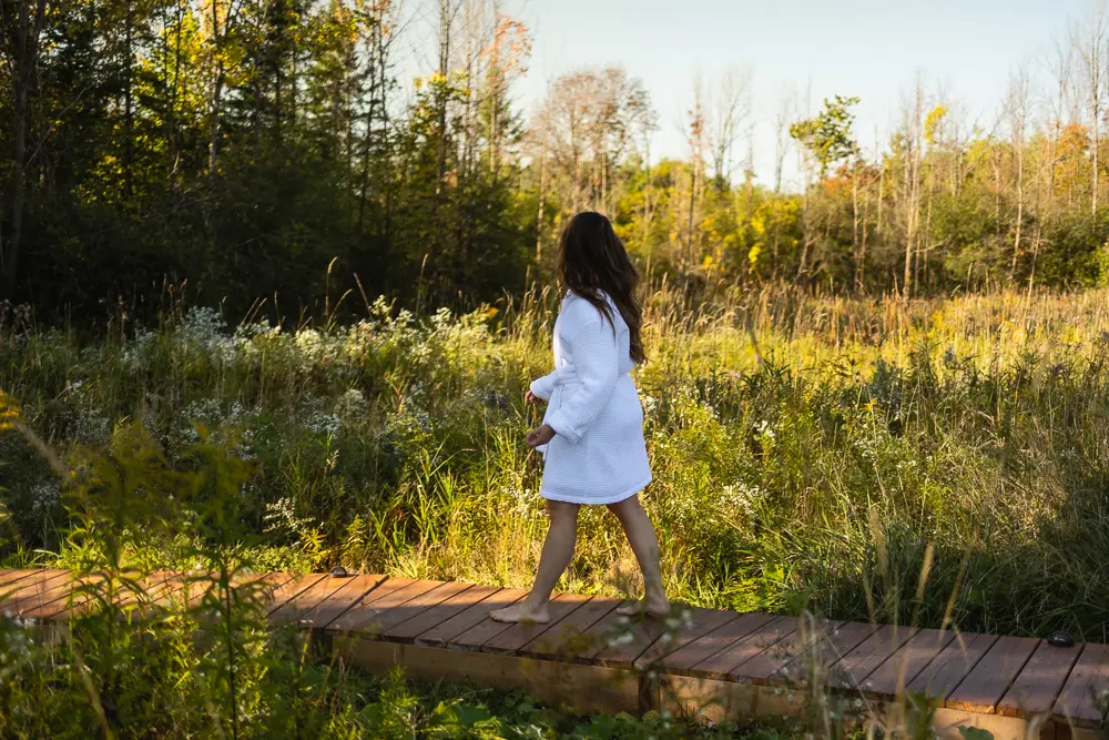 Walking The Forest Path To The Sauna