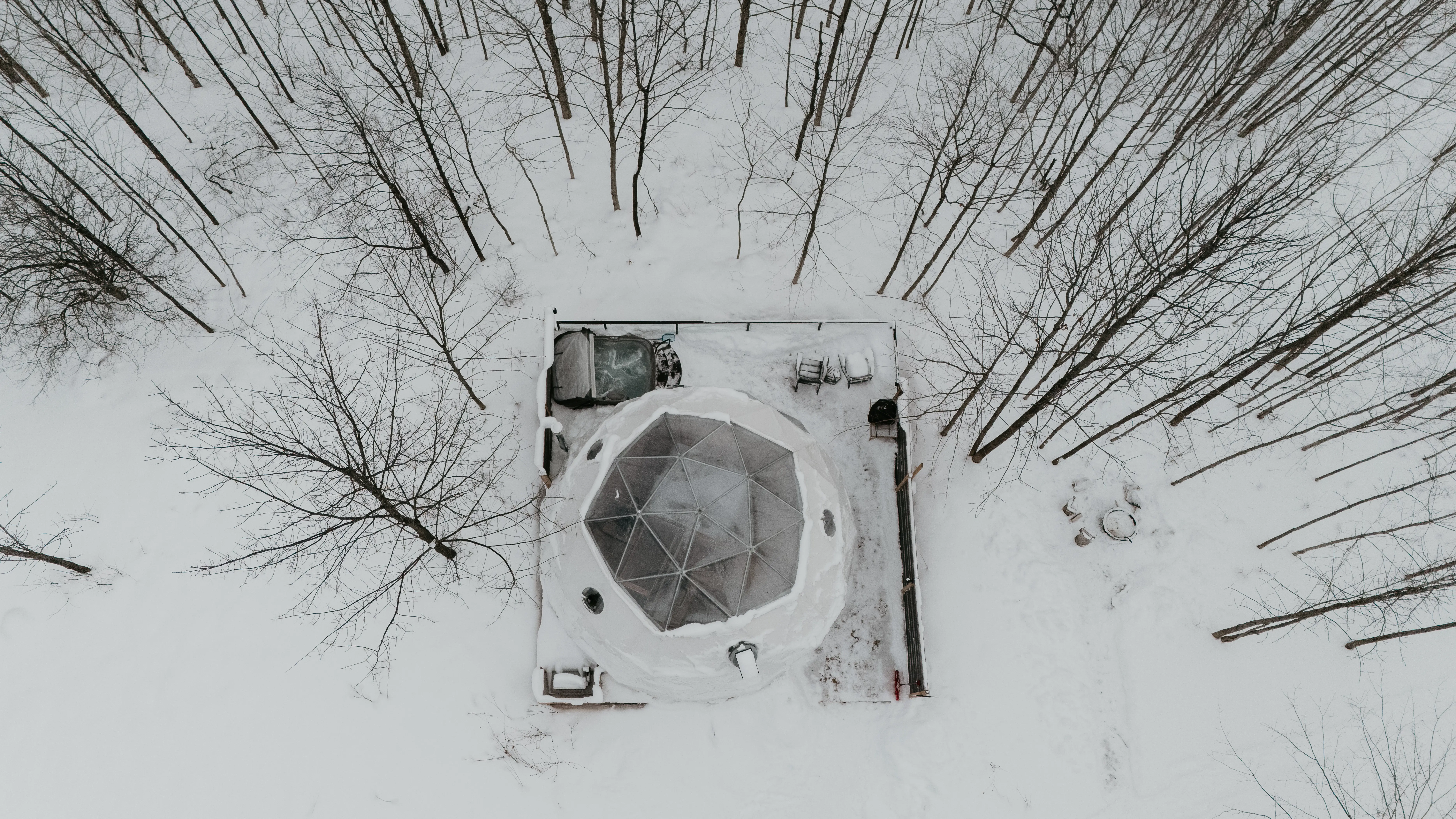 Forest Dome Aerial In Winter