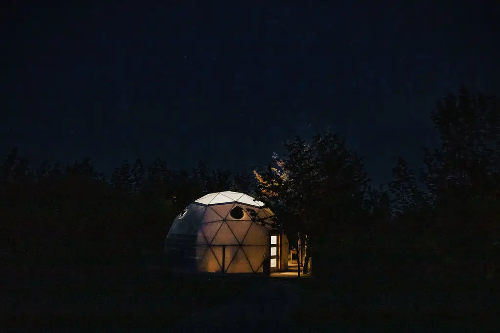 Forest Dome At Night