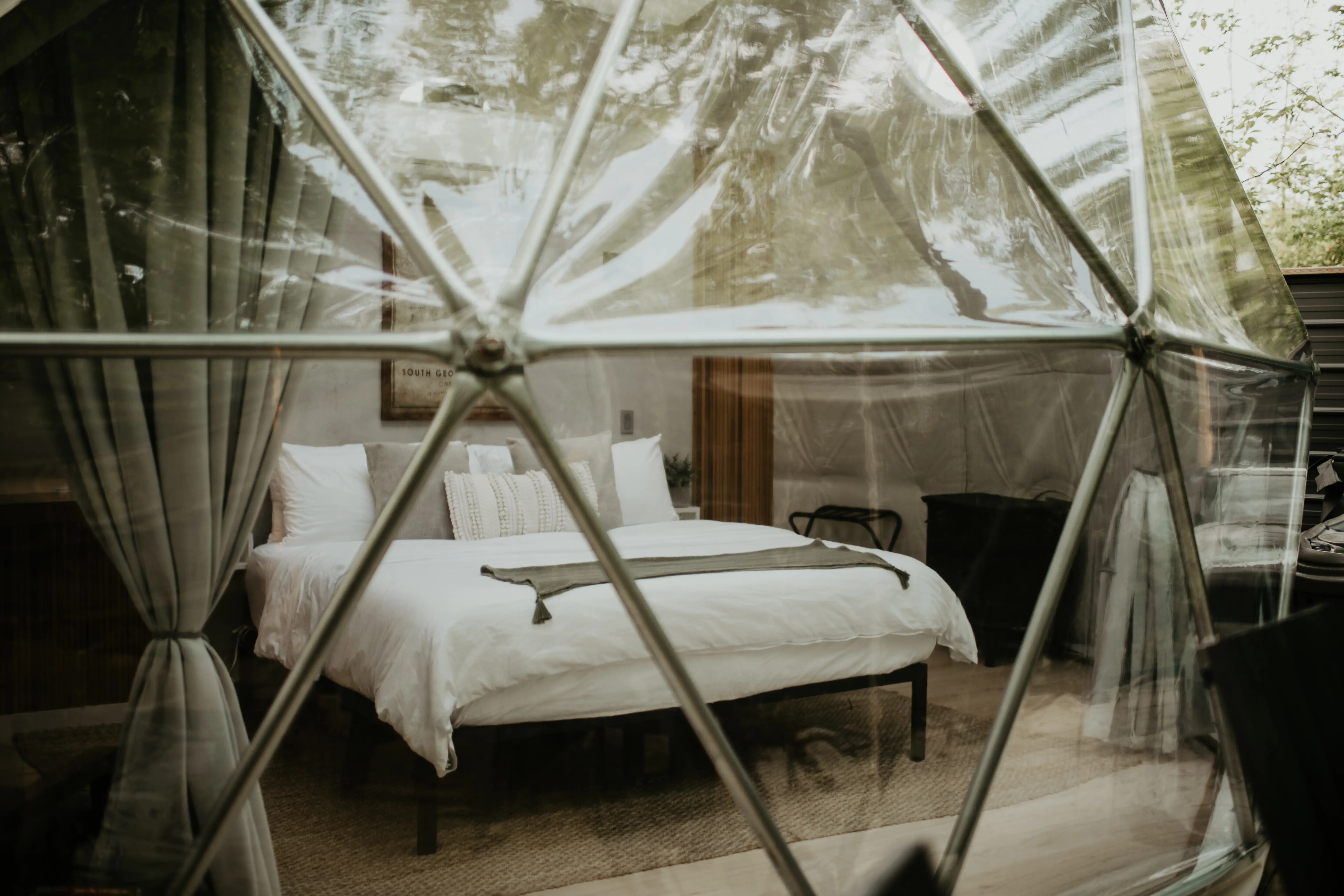 Forest Dome Interior Through The Window