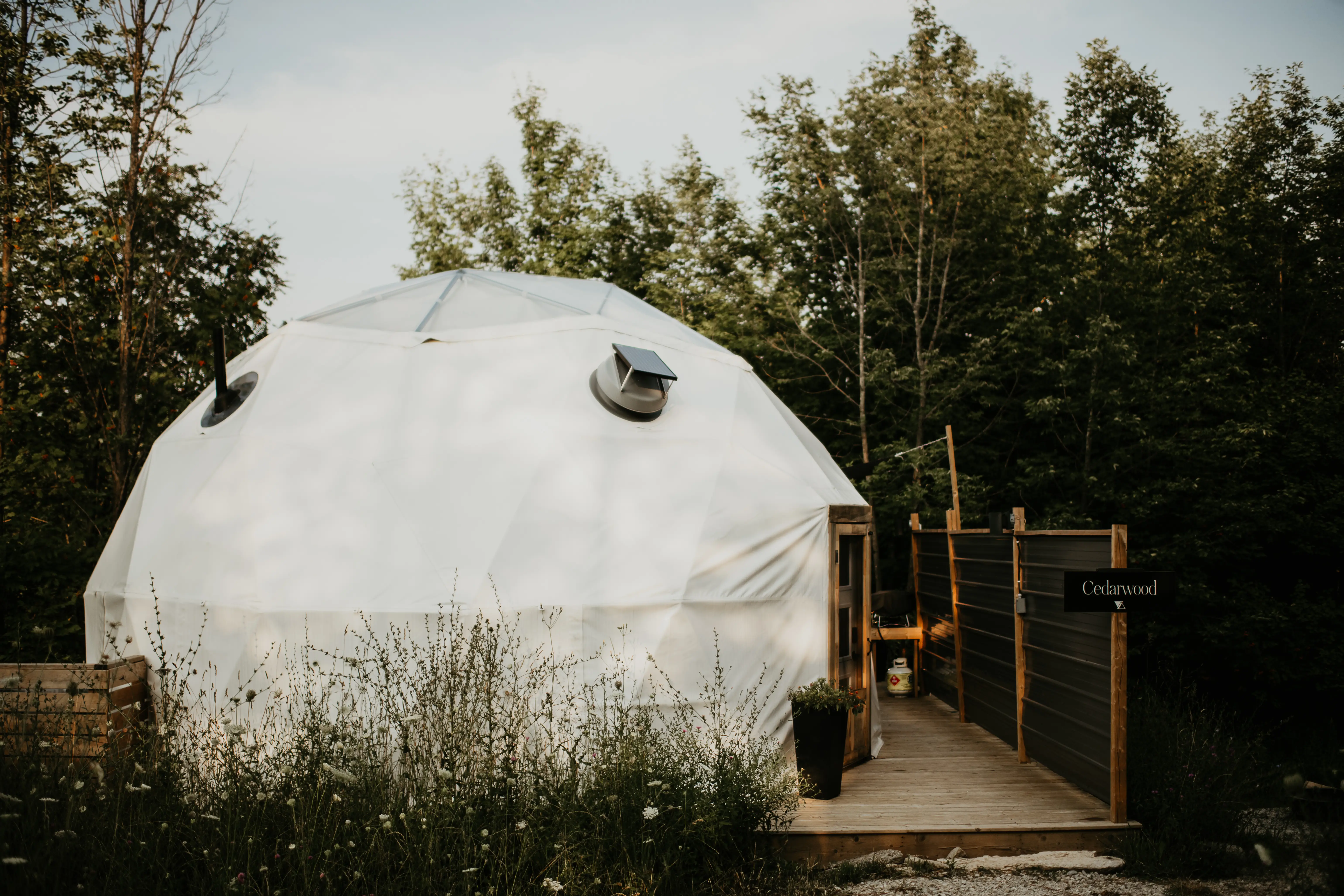 Forest Dome Woodland Setting