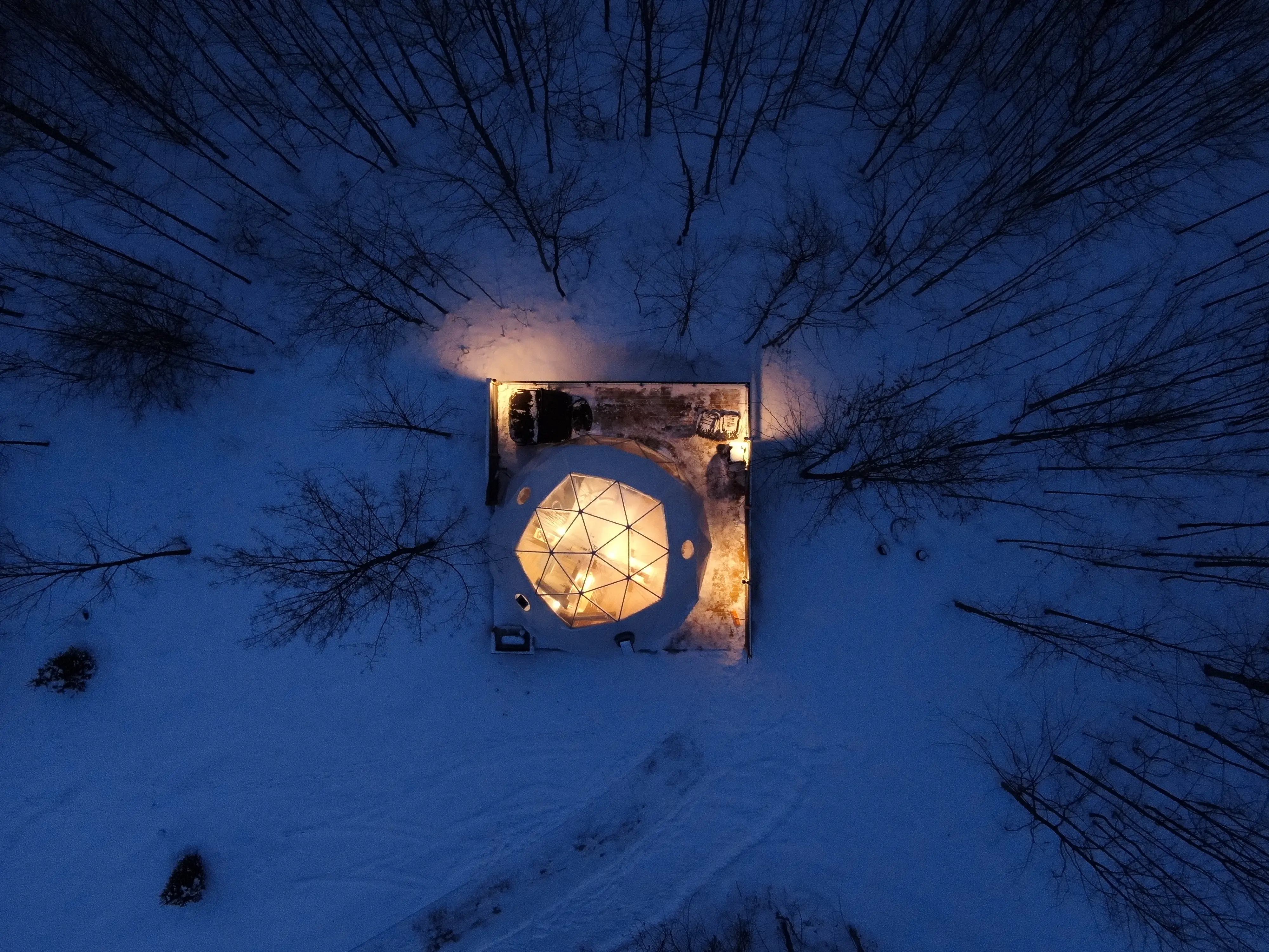Forest Domes Aerial At Night