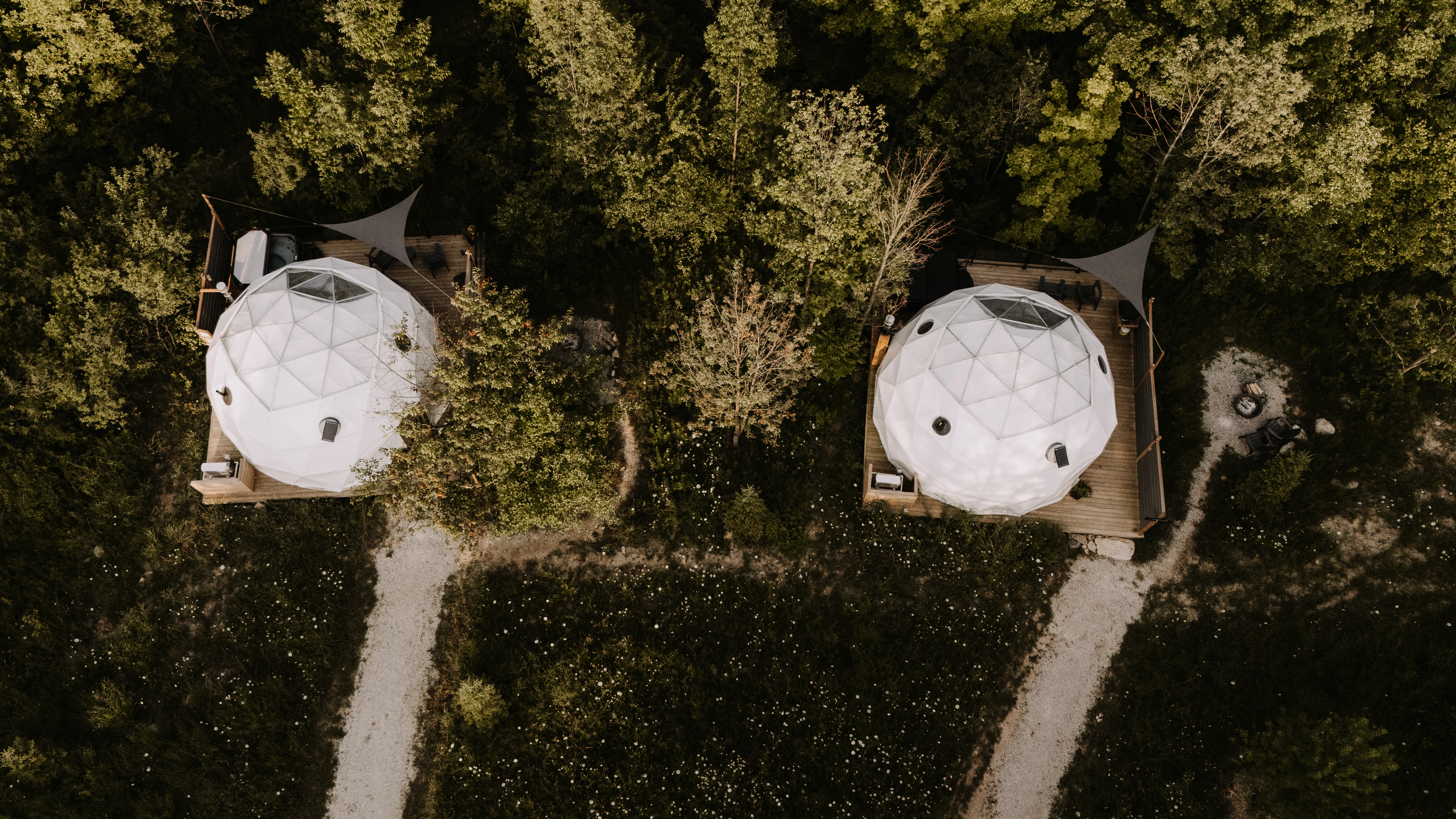 Forest Domes Aerial View