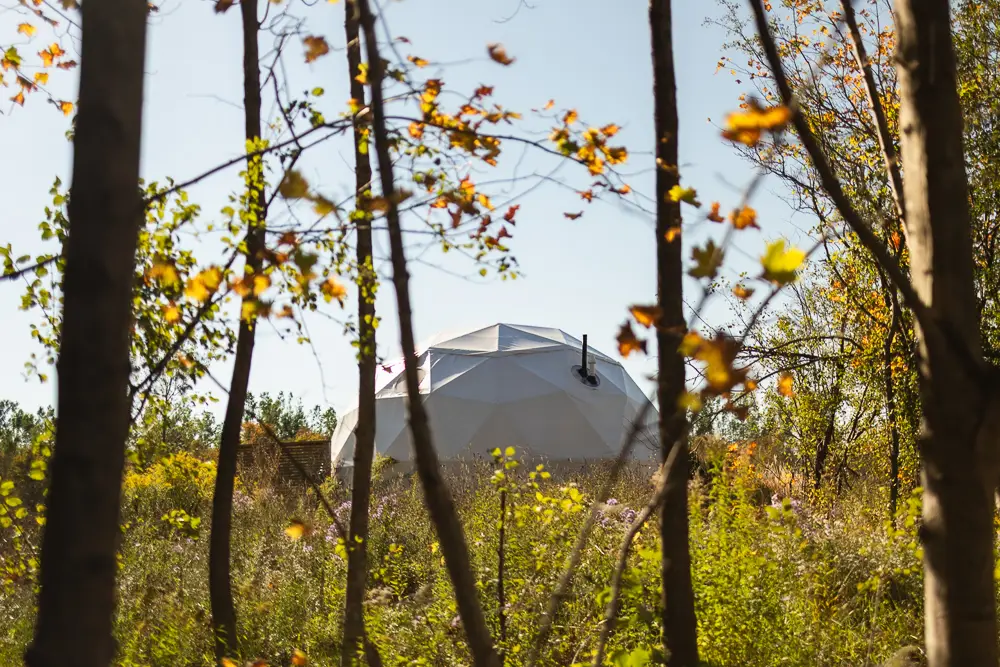 Forest Dome In Fall