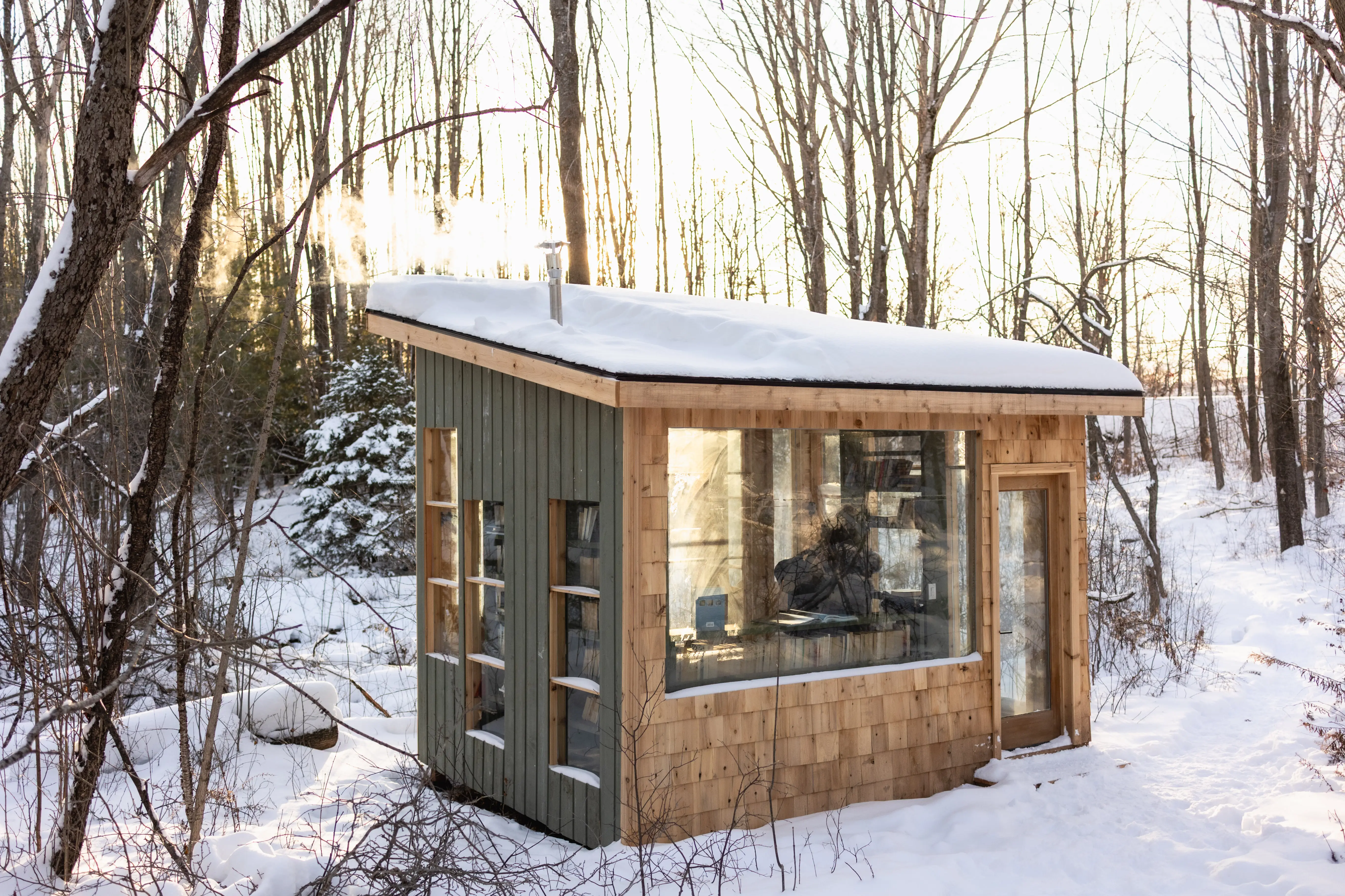Forest Library In Winter