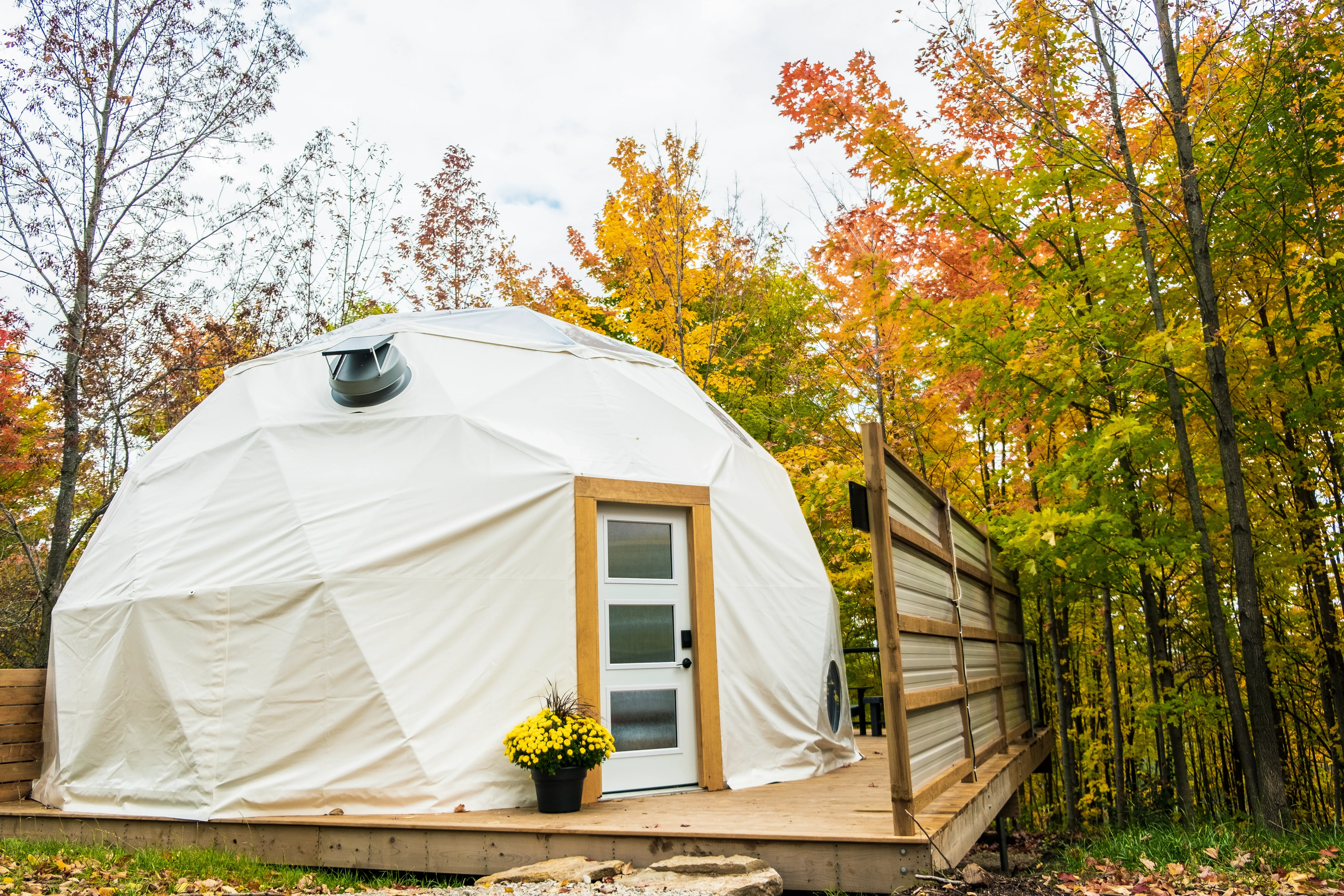 Forest Dome Surrounded By Fall Colours