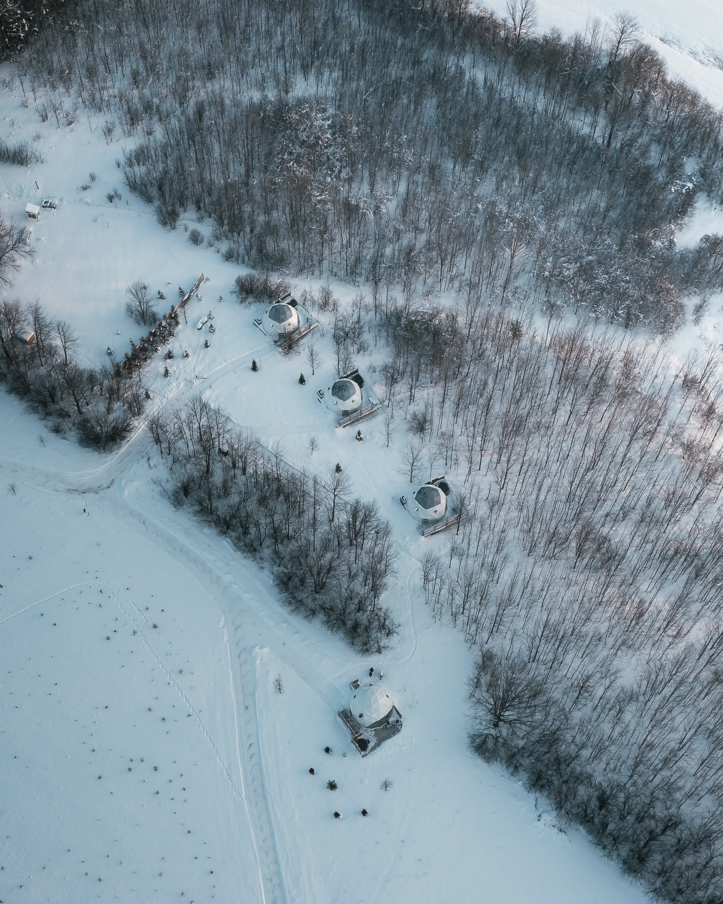 Forest Domes Aerial In Winter