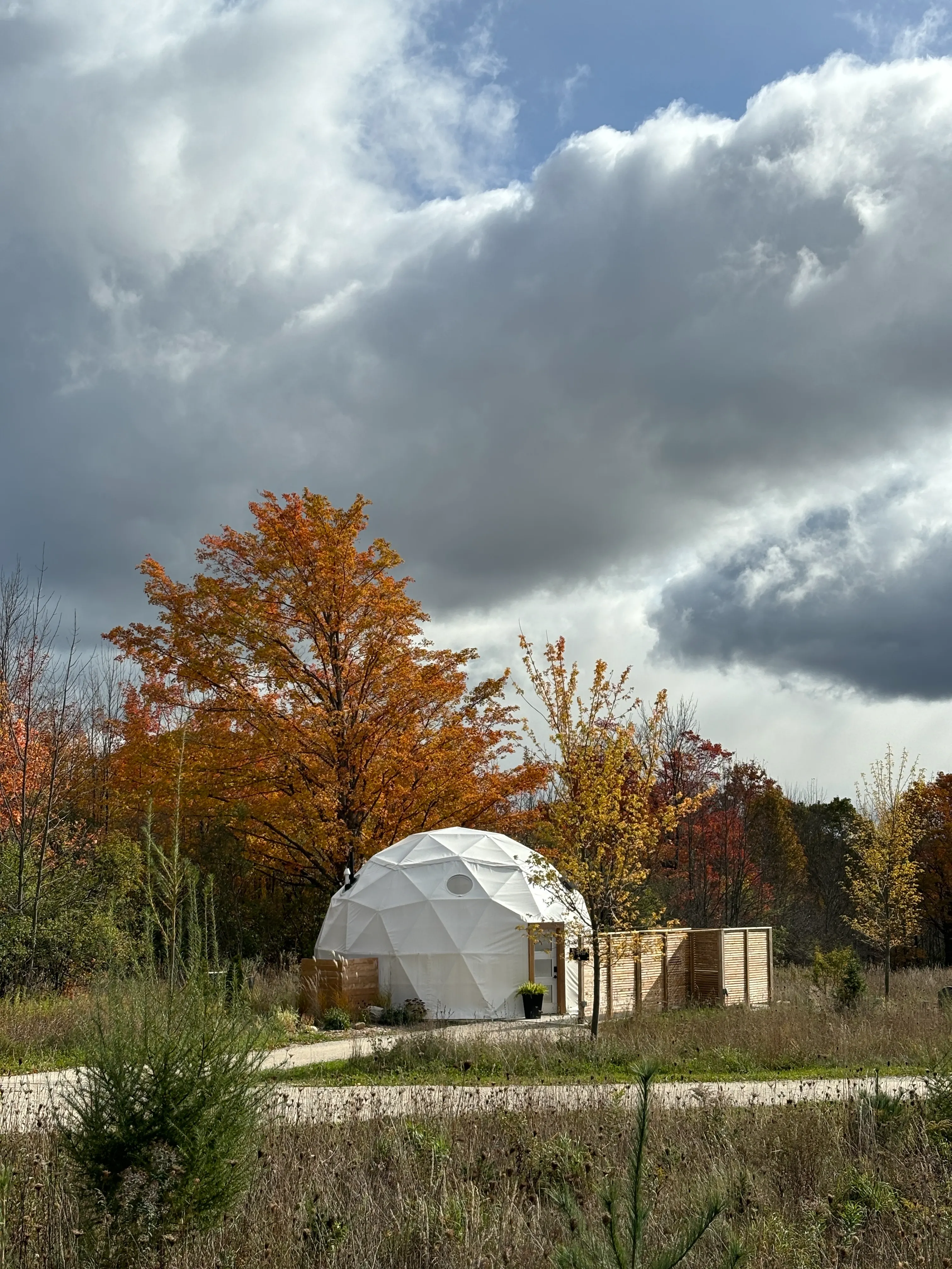 Meadow Dome Among The Fall Colours