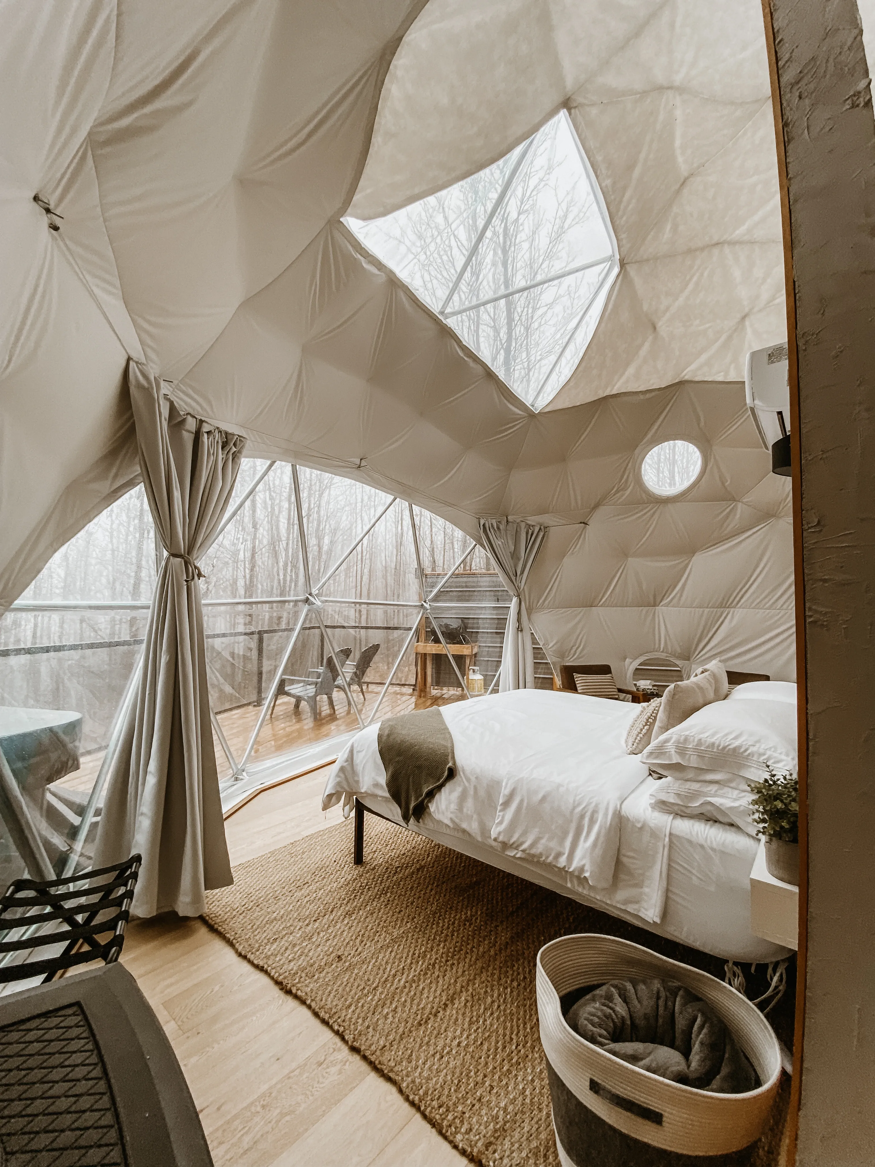 Winter View From Inside The Dome